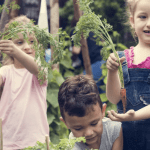 gardening, garddio