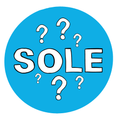 What is SOLE? (Self Organised Learning Environments)?