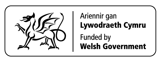 WG Funded Welsh Government logo